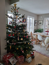 Last inn bildet i Galleri-visningsprogrammet, Juletre